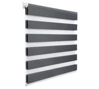 WOLTU Tenda a Rullo per interni Doppio Strato Giorno e Notte, Fissaggio a Morsetto Senza Foratura 100l x 130A cm Grigio Scuro, Tenda Traslucida e Oscurante per Finestra o Porta