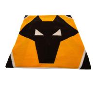 Wolverhampton Wanderers FCCoperta (TA10625)