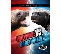 Wolverine Vs. Honey Badger