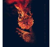 Wolves At The Gate – Eulogies – CD audio (Membran)