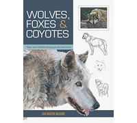 Wolves, Foxes & Coyotes (Wildlife Painting Basics) - NUOVO