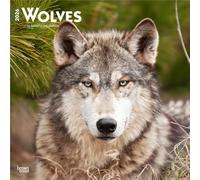 Wolves - Wölfe 2026 - 16-Monatskalender: Original BrownTrout-Kalender [Mehrsprachig] [Kalender]