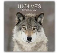 Wolves - Wölfe 2026 - 16-Monatskalender: Original Gifted Stationery-Kalender [Mehrsprachig] [Kalender]