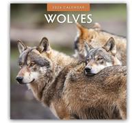 Wolves - Wölfe 2026 - 16-Monatskalender: Original Red Robin Publishing Ltd-Kalender [Mehrsprachig] [Kalender]