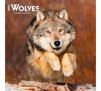 Wolves - Wölfe 2027 - 16-Monatskalender: Original BrownTrout-Kalender [Mehrsprachig] [Kalender]
