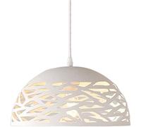 WOLWES Lampadario in Metallo Stile Semplice, Paralume a Sospensione Cavo Creativo, Lampada a Sospensione Singola a Vite E27, plafoniera incorporata, apparecchi di Illuminazione per la Decorazione del