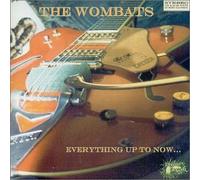 Wombats - Everything up to now...