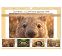 Wombats - Kurze Beine, großes Herz (Wandkalender 2027 DIN A4 quer), CALVENDO Monatskalender: Australiens liebenswerte Beuteltiere beobachtet