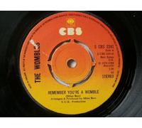 Wombles, The - Remember You're A Womble 7" 45