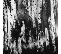 Wombripper From the Depths of Flesh (CD)