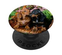 Womens Girls 2 Doxies Black & Tan and Red Dachshund Lover PopSockets PopGrip Adesivo