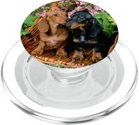 Womens Girls 2 Doxies Black & Tan and Red Dachshund Lover PopSockets PopGrip per MagSafe