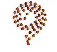 Wonder Care Certificato Rudraksha Mala 108 Perline Japa Mala Collana Rudraksha Perline | Perline di preghiera | 5 Mala di meditazione Mukhi_Clear Quartz Rudraksha Mala