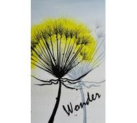 Wonder - pocketbook edition