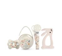 Suavinex, Regalo per Neonati. Set regalo con: Ciuccio con tettarella simmetrica SX Pro per neonati 0/6 mesi + Clip + Portaciuccio Duo + Massaggiagengive in silicone. (4 pezzi). Wonderland Neutro