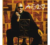 Wonder Stevie - A TIME TO LOVE
