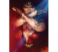 Wonder Woman Power 60 x 80 cm Stampa su Tela, Multicolore