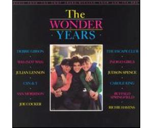 Wonder Years (The) / Tv O.S.T. - AA.VV. (Audio Cd)