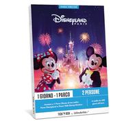 Wonderbox Connect - Cofanetto Regalo - Disneyland 1 Giorno 1 Parco - 2 Persone - Parco Disneyland o Walt Disney Studio - Idee Regalo per Una Coppia