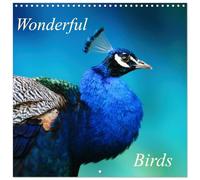 Wonderful Birds (Wall Calendar 2026 12" x 24" / 30 x 60 cm (aperto) Calvendo 12 Month Wall Calendar