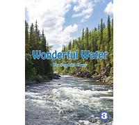 Wonderful Water