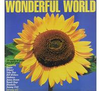 Wonderful World Wonderful World (CD)