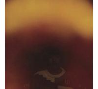 Wong, Dustin - Mediation Of Ecstatic Energy