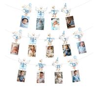 Wonmelody Goose First Birthday Decor for Boy One Silly Goose Photo Banner Blue Goose Mensile Photo Garland One Silly Goose Compleanno Decor Farm Animal First Birthday Supplies for Funny Goose Bash