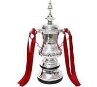 Wonsunte Trofeo di Calcio Fa Cup Replica di Trofei di Campioni di Calcio con Nastro Colorato Premio per Il Vincitore Collezione Sportiva I Migliori Regali per I Tifosi,44 cm (17.32 in)