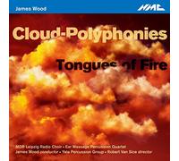 Wood/ Ear Massage Percussion Quartet - James Wood: Tongues Of Fire - Cloud Polyphonies