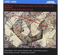 Wood, J. - Two Men Meet-Phainomena-V