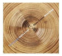 Wood Songs (Vielle A Rue / Ghironda) (Cd)