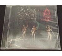 Wooden Stars - A Feast of Virgin Souls