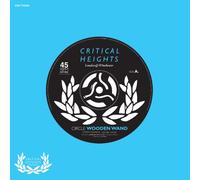 Wooden Wand - Circle