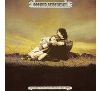 Wooden Wand & The Sky High Band - Second Attention