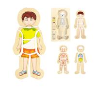 WOODENFUN Mein Körper Puzzle per bambini 3-5, Montessori Anatomia, Puzzle a strati per bambini in età prescolare e bambini dai 3 anni in su (ragazzi)