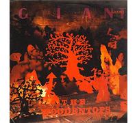 Woodentops, The - Giant - Rough Trade - RTD 38