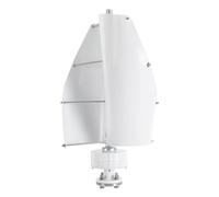 WooDerson Generatore di turbine eoliche da 100 W con controller, silenzioso, generatore di turbine eoliche da 12 V/24 V (bianco, 12 V)