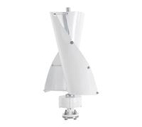 WooDerson Generatore di turbine eoliche da 100 W, con controller, silenzioso, generatore di turbine eoliche da 12 V/24 V (bianco, 24 V)