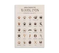 Woodland Animal Tracks Canvas Wall Art Educational Forest Field Guide Poster Rustic Nature Nursery Kids Room Decor(Unframed,12X18inch(30X45cm))