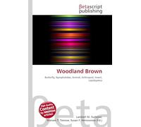 Woodland Brown: Butterfly, Nymphalidae, Animal, Arthropod, Insect, Lepidoptera