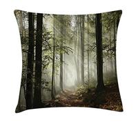 Woods, Dark Woods Route Surrounded By Fog in The Sunshine Day Time in Mother Earth Image Federa per Cuscino Comodo Federe De Cuscini Moderna Cuscino Copricuscini per Giardino Divano Letti 45X45Cm