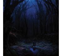 Woods of Desolation Torn Beyond Reason (CD)