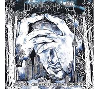 Woods of Ypres Woods 5: Grey Skies & Electric Light (Vinyl LP) 12" Album