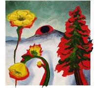 Woods Strange to Explain (Vinyl LP) 12" Album