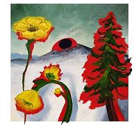 Woods - Strange To Explain (White colored Vinyl)