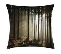 Woods, Sunlights Entering Coniferous Woods On A Misty Autumnal Morning Scenery Picture Federe De Cuscini Elegante Decorativi Federa Personalizzato Cuscino Copricuscini per Divano Letto 45X45Cm