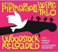 Woodstock Reloaded - Enzo Pietropaoli Wire Trio (Audio cd)