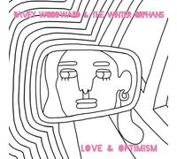 Woodward Dave And The Winter Orphans - Love And Optimism