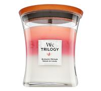 Woodwick Blooming Orchard Trilogy Vase 275 g - Candela